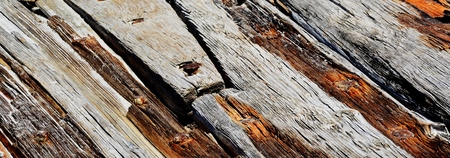 Close up of Drift wood on the beach in Milnertonの写真素材