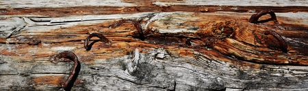 Close up of Drift wood on the beach in Milnertonの写真素材