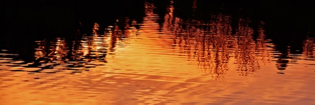 Sunset reflection and trees in a little pondの写真素材