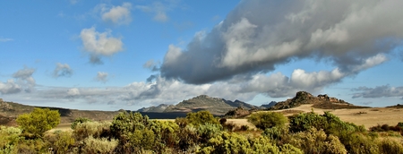 landscape with fynbos and mountains in the Piekenierskloof