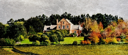 Landscape with Wine Farm and Trees in autumn colorsの写真素材
