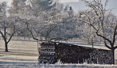 Landscape with trees on a cold Winter morningの写真素材