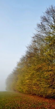 Landscape with a cold and foggy autumn morningの写真素材