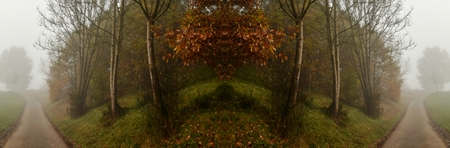 Landscape with a cold and foggy autumn morning