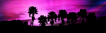 Landscape with palm trees and purple sky at sunsetの写真素材