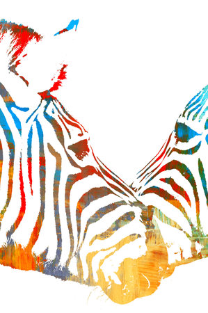 colorful Portrait of two Zebras abstractの写真素材