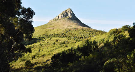 Landscape with the Botmaskop mountain in South Africaの写真素材