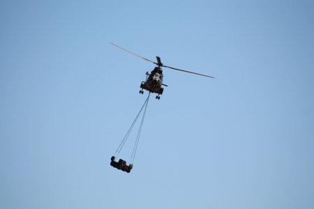 Oryx doing heavy liftingの写真素材