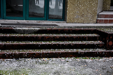 Staircase with fallen leaves on the ground in the city.