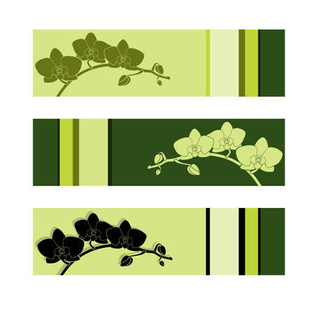 Set of three green orchid banners on white backgroundのイラスト素材