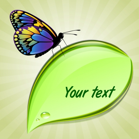 Butterfly sitting on green leaf with place for textのイラスト素材