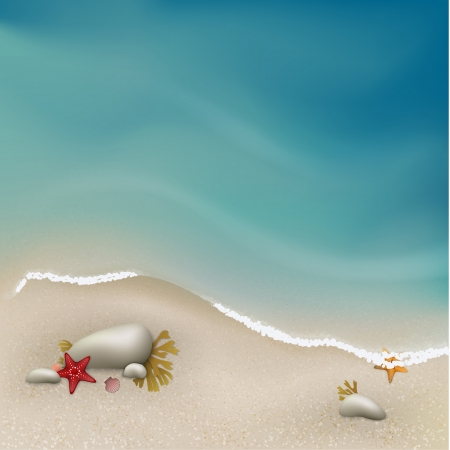 Seaside view with rocks, sea grass and starfishes.  Illustration contains gradient meshのイラスト素材