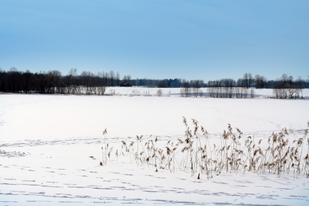 Frozen winter lake covered by snow and foot path on iceの写真素材