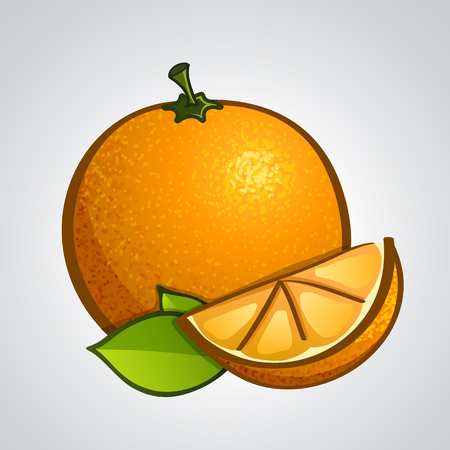 Vector artistic fruits - orange with leavesのイラスト素材