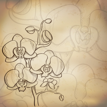 Sketch  orchid background, hand drawn, ink styleのイラスト素材