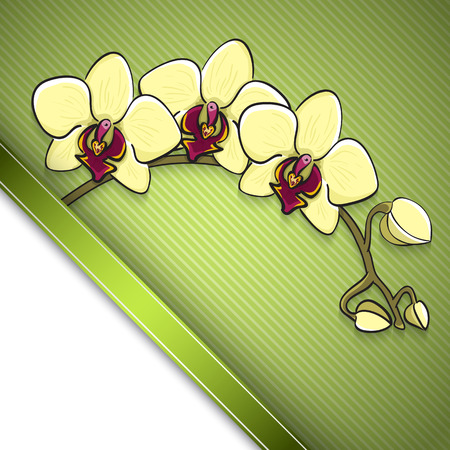 Sketch  orchid background, hand drawn, ink styleのイラスト素材