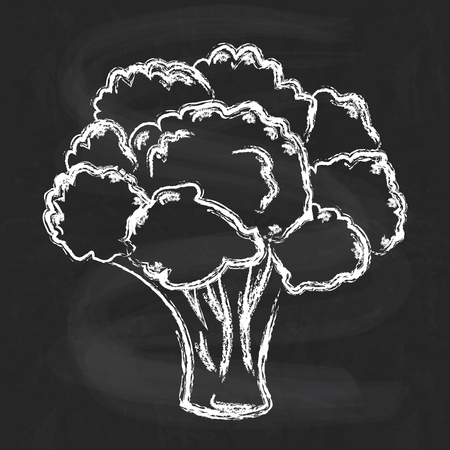Atristic hand drawn illustration of broccoli, chalk drawing on chalkboard imitationのイラスト素材