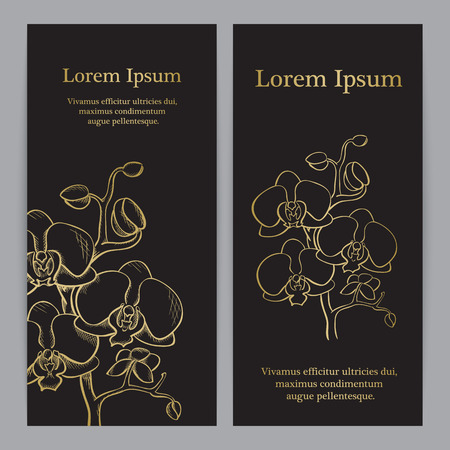 Hand drawn Phalaenopsis orchid, vector sketch, gold ink drawing imitationのイラスト素材