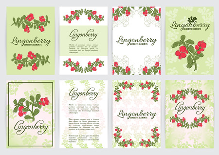 Vaccinium vitis-idaea ( lingonberry or cowberry) A4 templatesのイラスト素材