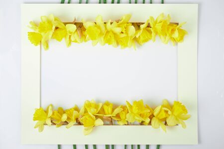 Paper frame wreath pattern with yellow narcissus. Floral composition on table for greeting card, mothers, easter day.top viewの写真素材
