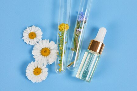 Natural cosmetics with herbal ingredients. Skin and body care serum with Flowers and plants in test tubes. Concept herbal medicineの写真素材