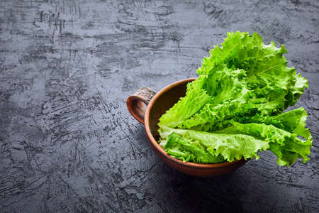 Fresh green lettuce in bowl on stone table on dark background. Vegan veggies diet food.の写真素材