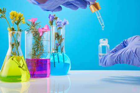 The scientist's hands hold a bottle of cosmetics, test tubes with plants in the background. Perfume research concept.の写真素材