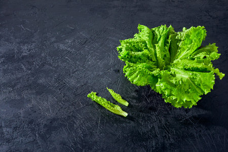 Fresh green lettuce in bowl on stone table on dark background. Vegan veggies diet food.の写真素材