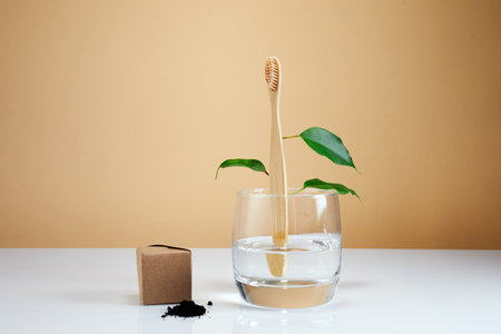 Wooden bamboo toothbrush with leaves as Eco-friendly creative concept. Natural organic beauty product.の写真素材