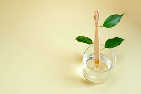 Wooden bamboo toothbrush with leaves on glass. Zero waste, Eco-friendly concept.の写真素材