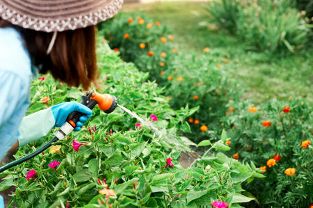 Woman watering plants, sprinkling water on the grass on the backyard. Girl using garden hose, watering flowers in the garden.の写真素材