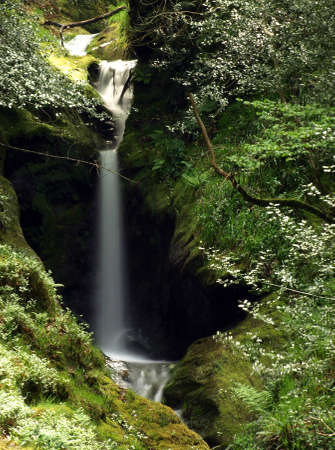 waterfall   の写真素材