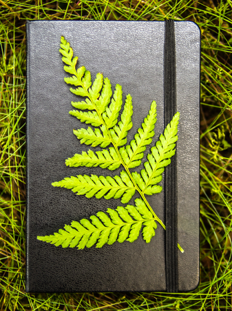 Taking notes in the nature conceptualisation, closed black notebook lying on a grass with a green fern leaf attachedの写真素材