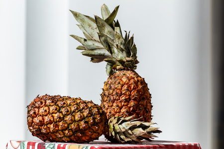 Two Pineapple on tablecloth and lightly grayish white blurred backgroundの写真素材