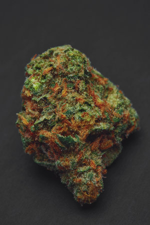 Sativa Marijuana Budの写真素材