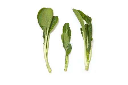 Choi Sum leaves isolated on a white studio background.の写真素材