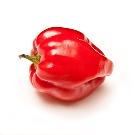Scotch bonnet chilli pepper isolated on a white studio background.の写真素材