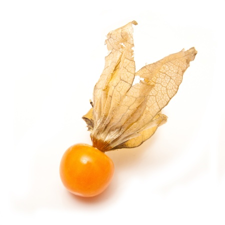 Physalis fruit isolated on a white studio background.の写真素材