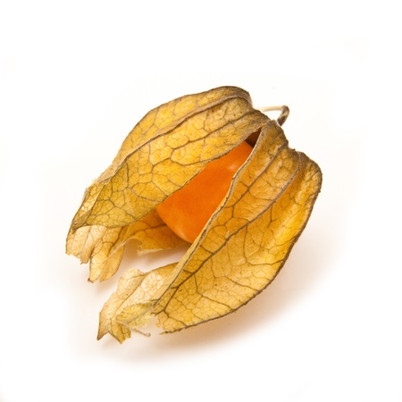 Physalis fruit isolated on a white studio background.の写真素材