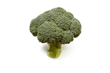 Brocolli isolated on a white studio background.