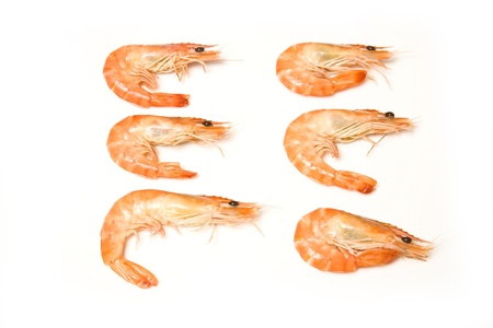Crevettes, cooked prawns (shrimp) isolated on a white studio background