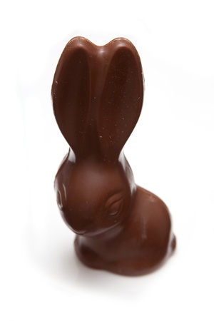 Chocolate easter bunny の写真素材