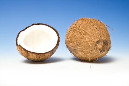 Coconuts on a graduated blue studio background.の写真素材