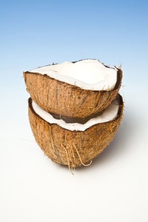 Coconuts on a graduated blue studio background.