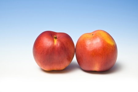 Nectarines on a blue studio background.の写真素材