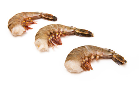Large tiger prawn or Asian tiger shrimp- Penaeus monodon. Isolated on a white studio.の写真素材