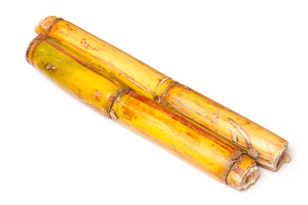 Fresh sugarcane isolated on a white studio background.の写真素材