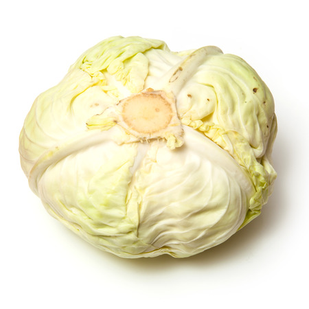 Japanese style flat white cabbage isolated on a white studio background,の写真素材