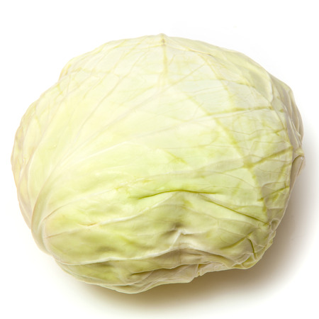 Japanese style flat white cabbage isolated on a white studio background,の写真素材