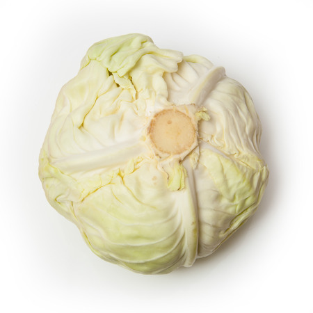 Japanese style flat white cabbage isolated on a white studio background,の写真素材